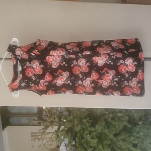 Rodanthe Sleeveless Dress Size XL